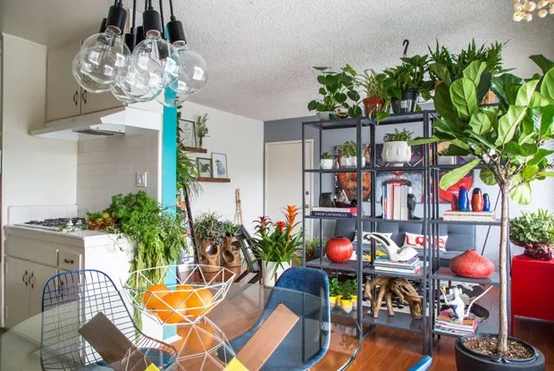 Ambiente moderno com plantas e decoração colorida.