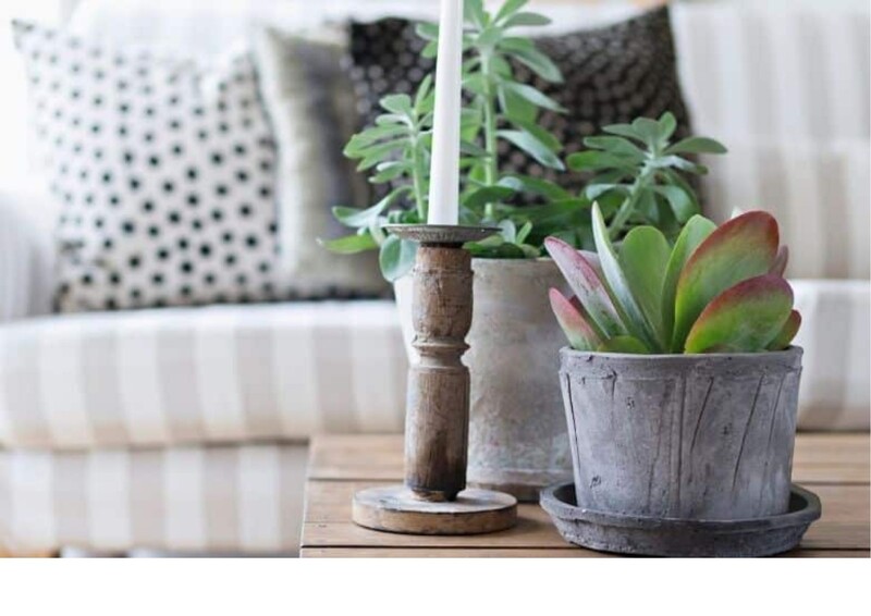 Arranjo de plantas e vela em mesa de madeira