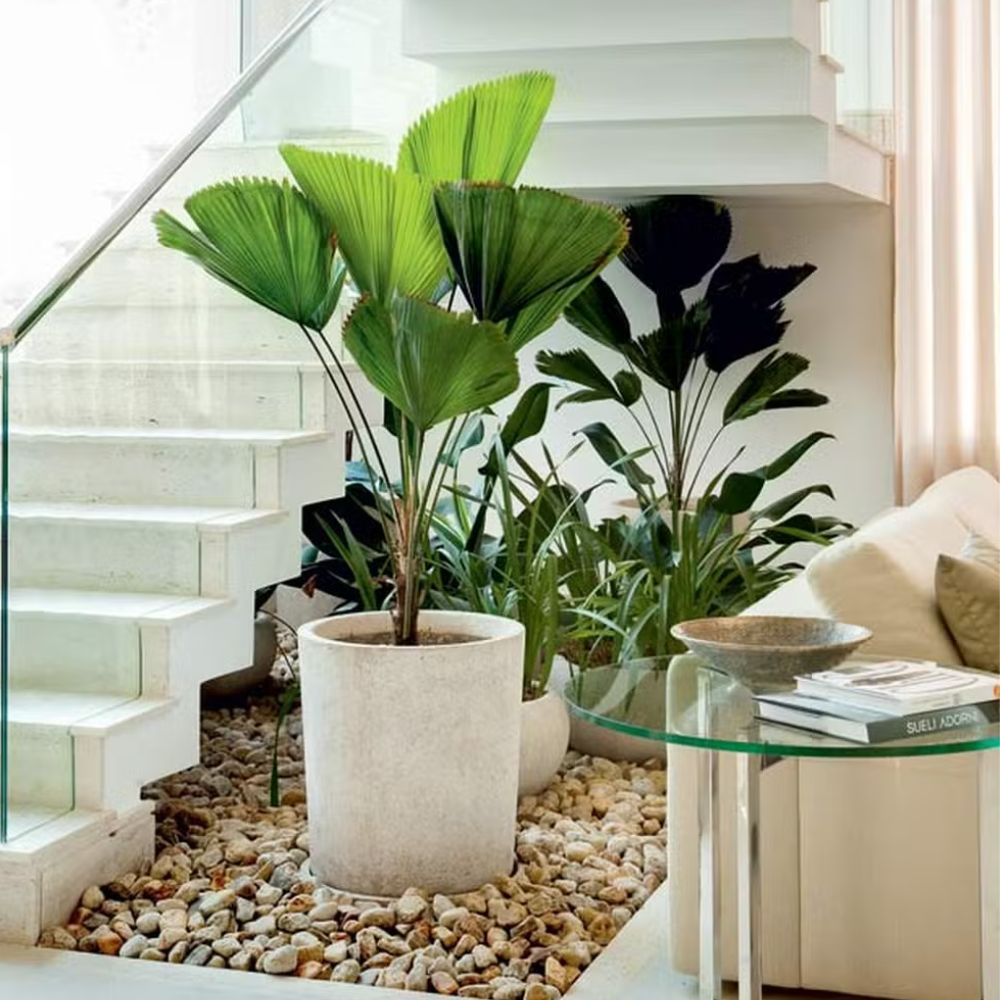 Plantas decorativas em ambiente moderno e iluminado