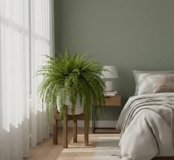 Quarto moderno com cama e vaso de samambaia