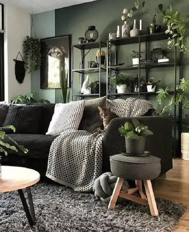 Sala de estar moderna com plantas e gato