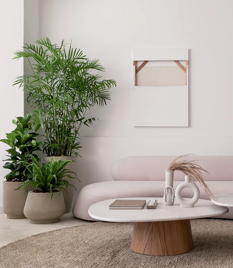 Sala de estar moderna com plantas e mesa de centro